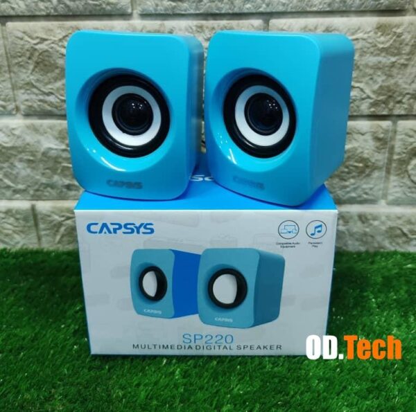 Haut parleur CAPSYS -SP220