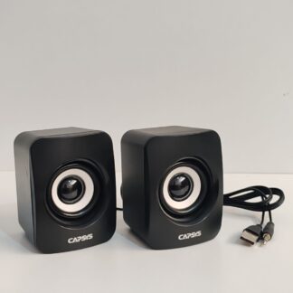Haut parleur CAPSYS -SP220