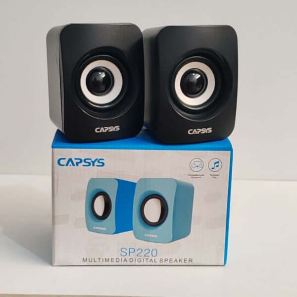 Haut parleur CAPSYS -SP220 – Image 3